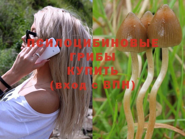 кокс Касимов