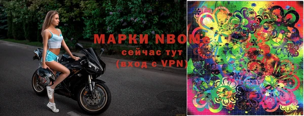 кокс Касимов