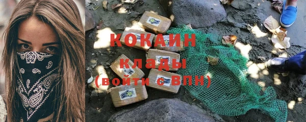 кокс Касимов