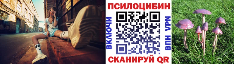 Купить  Усолье-Сибирское  Псилоцибиновые грибы Psilocybine cubensis 